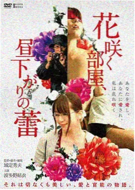 社会伦理电影职场与规则封面